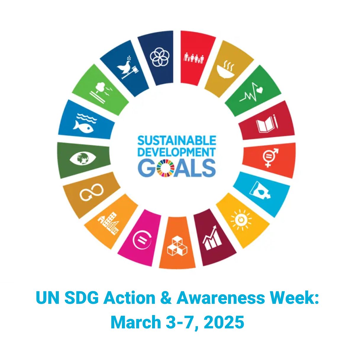 The UN SDG logo.